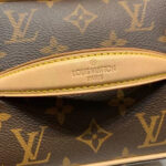 Louis Vuitton NICE mini cosmetic bag Brown